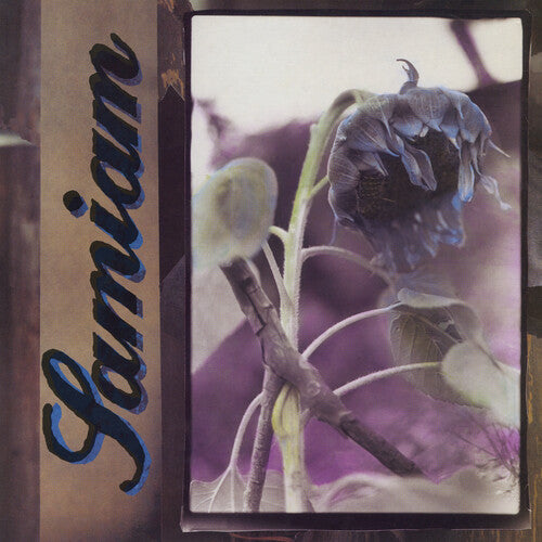 Samiam - Self Titled Clear Color Vinyl LP