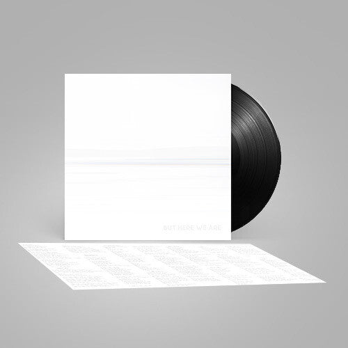 Foo Fighters - But Here We Are Vinyl LP