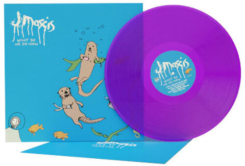 J Mascis -What Do We Do Now Color Vinyl LP