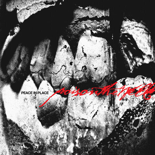 Poison The Well-Peace In Place
