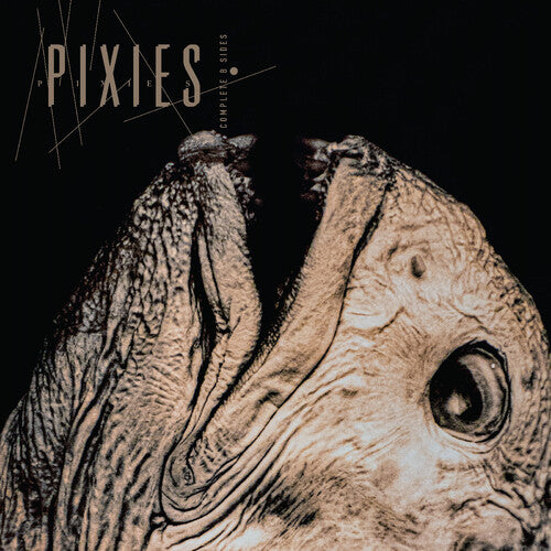 Pixies - Complete B Sides: 1988-97 - INDIE EXCLUSIVE, CLEAR VINYL LP