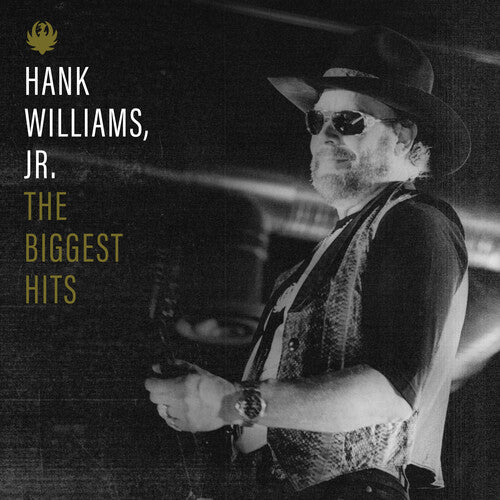 Biggest Hits Of Hank Williams, Jr. Vinyl LP