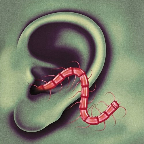 Thee Oh Sees – An Odd Entrances Vinyl LP