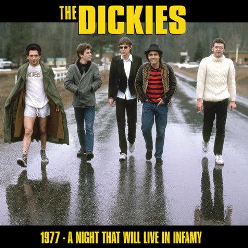 The Dickies - A Night That Will Live In Infamy 1977 Color Vinyl LP